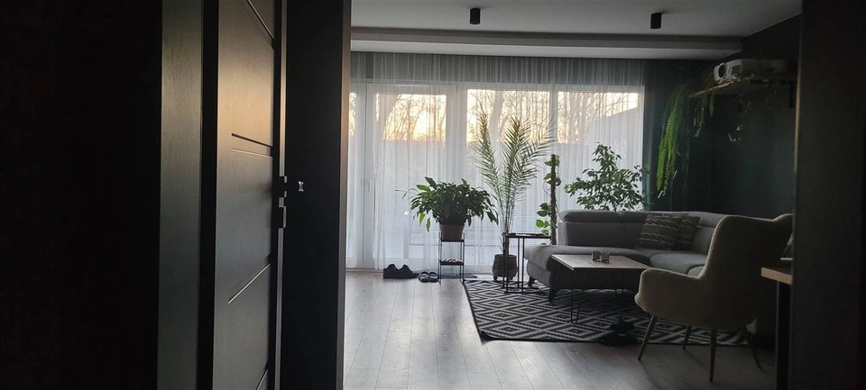 Widok salonu od wejścia